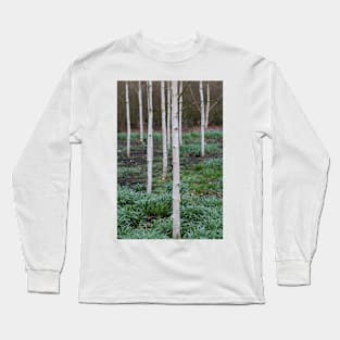 Silver birch trees Long Sleeve T-Shirt